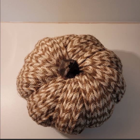 2 for $6 Fall Decor, Threshold Brand, Braided Texture Pumpkins - Picture 10 of 11